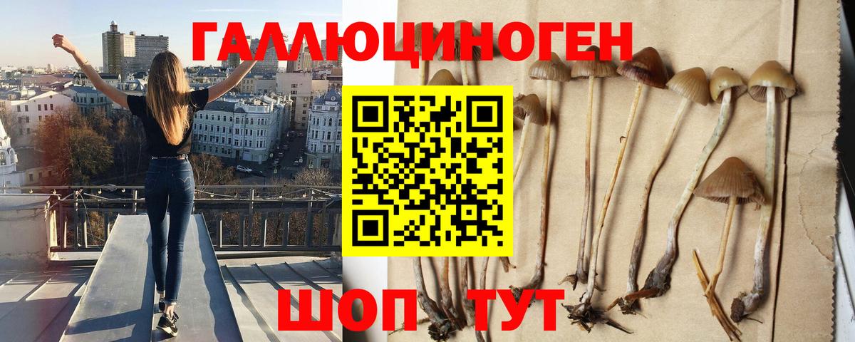 Петрозаводск  Псилоцибиновые грибы мицелий  Псилоцибиновые грибы мухоморы  Вход с VPN 